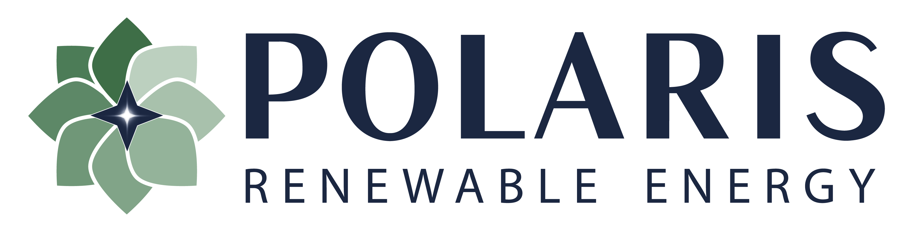 Polaris logo hight resolution