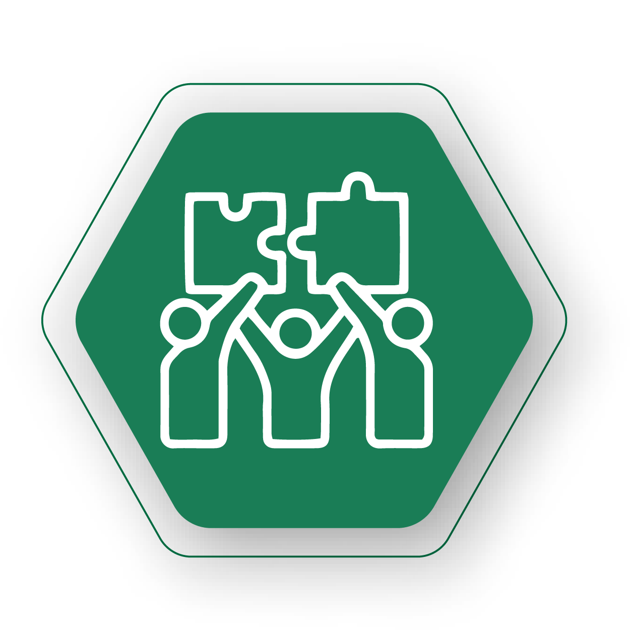 Icon10